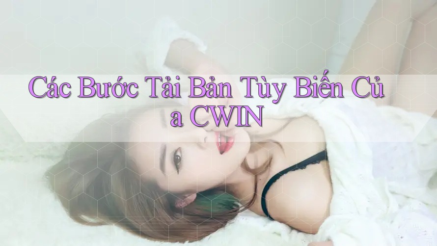 Các Bước Tải Bản Tùy Biến Của CWIN