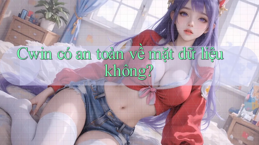 Cwin có an toàn về mặt dữ liệu không?