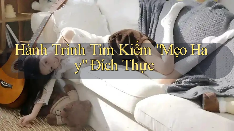 Hành Trình Tìm Kiếm “Mẹo Hay” Đích Thực