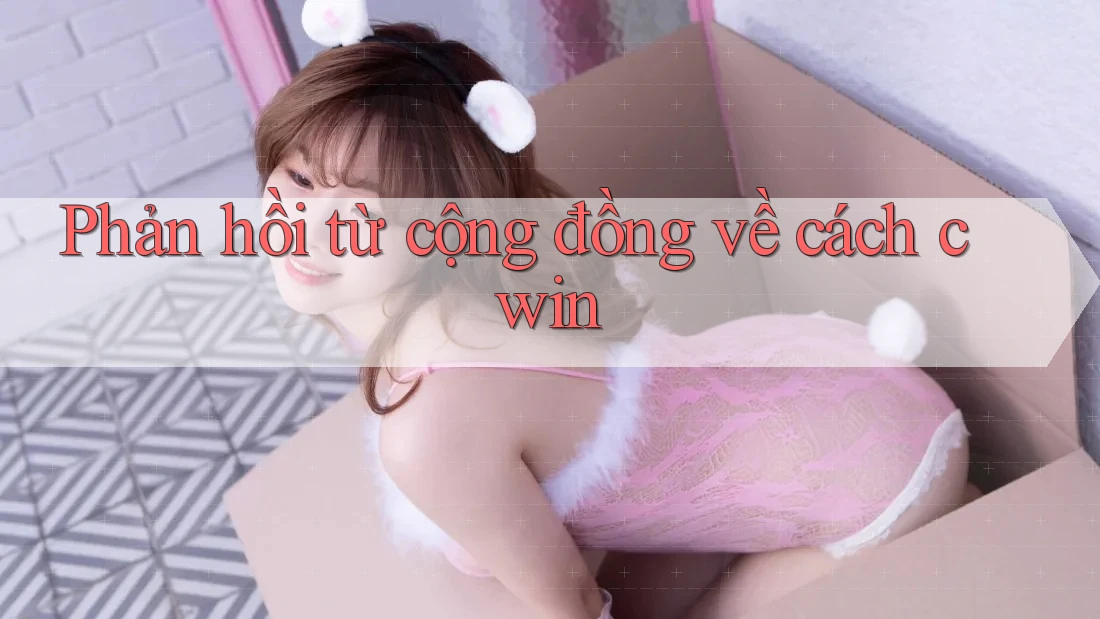 Phản hồi từ cộng đồng về cách cwin