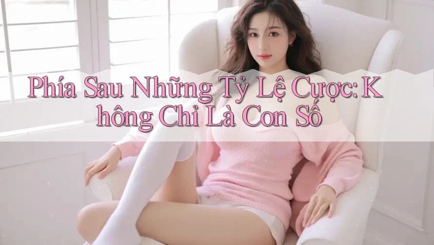 Phía Sau Những Tỷ Lệ Cược: Không Chỉ Là Con Số