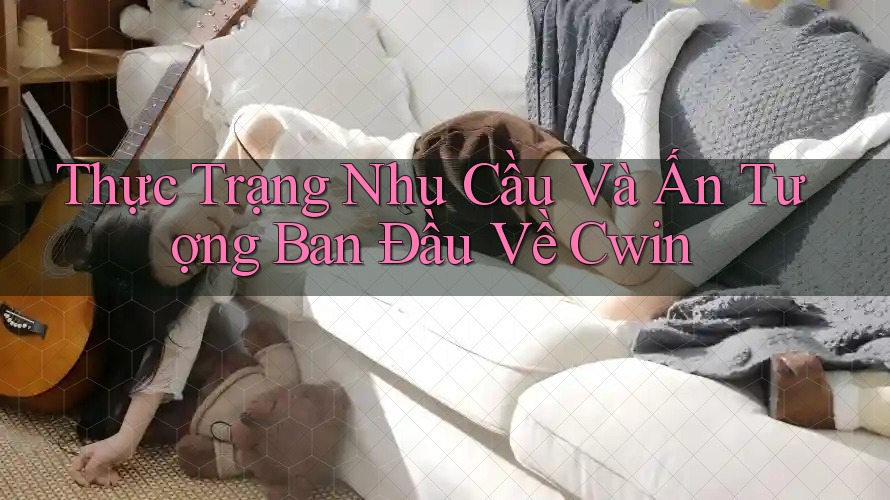 Thực Trạng Nhu Cầu Và Ấn Tượng Ban Đầu Về Cwin
