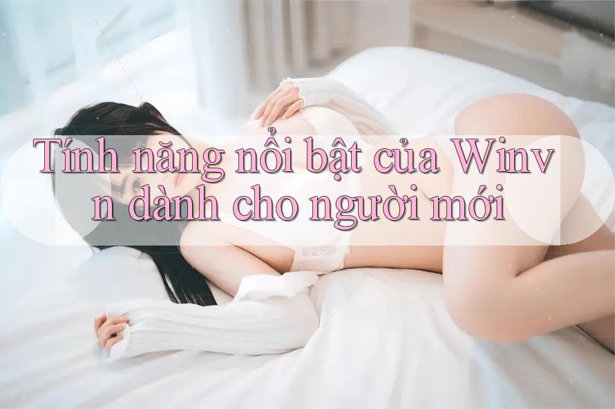 Tính năng nổi bật của Winvn dành cho người mới